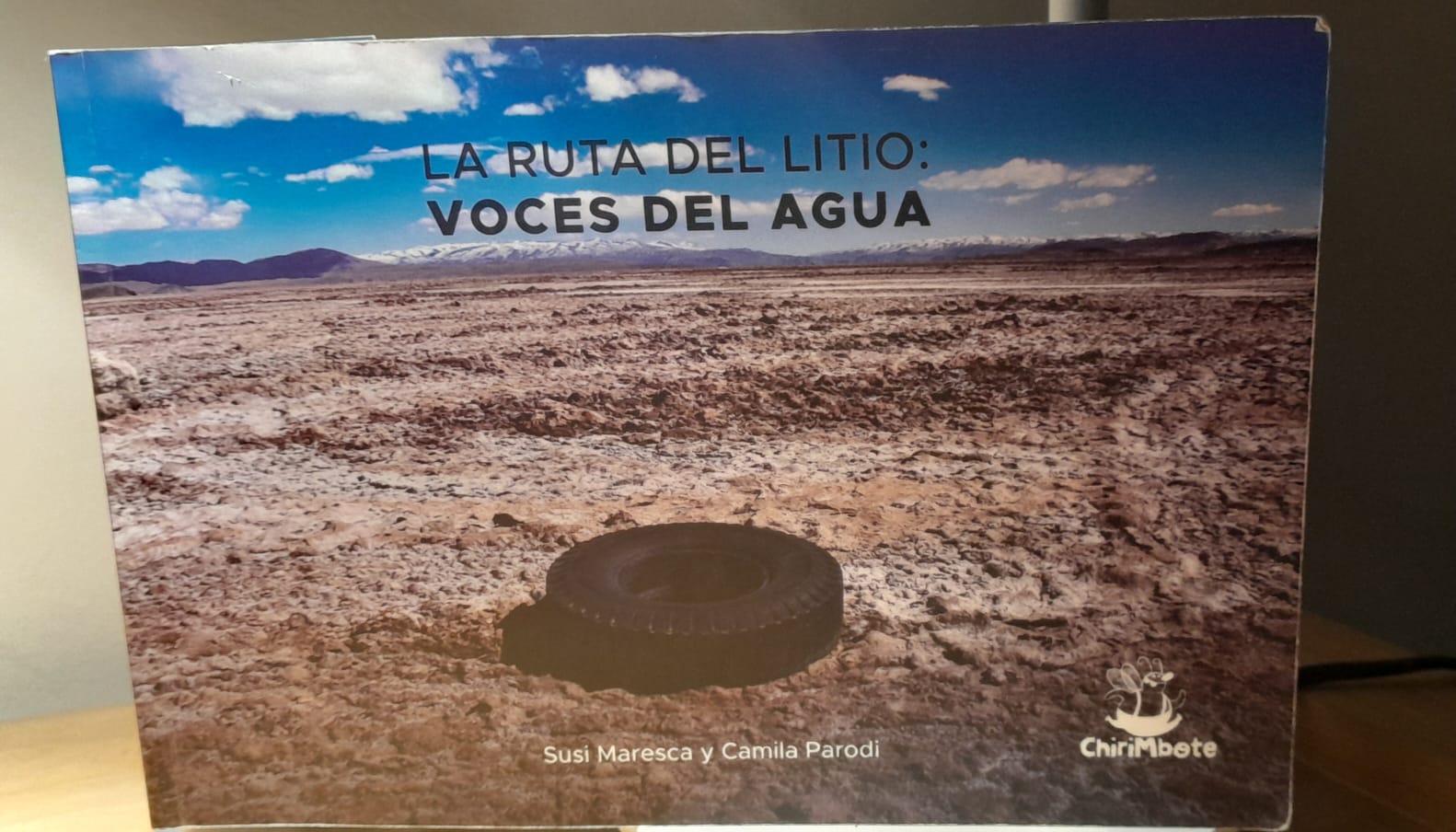 whatsapp image 2026 01 09 at 19.24.26 (2)